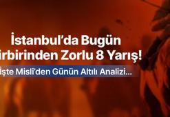 İstanbul’da Bugün Birbirinden Zorlu 8 Yarış ! İşte Misli’den Günün Altılı Analizi…
