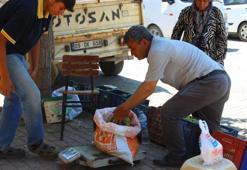 Dünyada en iyisi Aydın'da! İçinde binlerce böcek olan meyve kapış kapış gidiyor, kilosu 500 TL