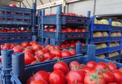 Sebze halinde fiyatlar dibi gördü: Domatesin fiyatı geriledi