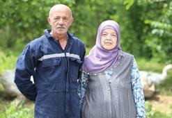 Memleketi Ordu'ya dönüş yapan aile belediye desteğiyle çiftlik kurdu! Etinden, tüyünden, yumurtası ve civcivinden para kazanıyor