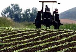 Türkiye'nin üretim rekoru o şehirden geldi! Hem çiftçiye hem ülkeye kazandırıyor