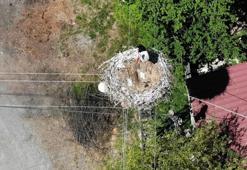 23 yıldır Erzincan'ı terk etmedi: Köy halkı gözü gibi bakıyor