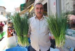 Van'da karların geç erimesi şifalı otların tezgah ömrünü uzattı! Fiyatı 100 liraya düştü