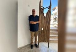 Zabıta memuru Antalya'da çöpte buldu: Kurtuluş Savaşı'ndan kalma, paha biçilemiyor