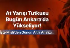 At Yarışı Tutkusu Bugün Ankara’da Yükseliyor! İşte Misli’den Günün Altılı Analizi…
