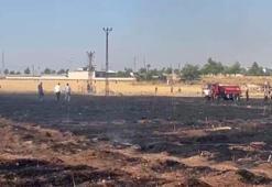Şanlıurfa'da 60 dönüm arazi kullanılamaz hale geldi!
