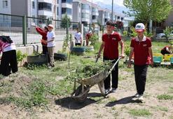 Erzincan’da öğrenciler okul bahçesinde sera kurdu: Rokadan domatese tamamen organik! Hasat Başladı