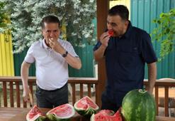 Karpuz nasıl seçilir? Vurmak eskide kaldı, işte en iyi yöntem