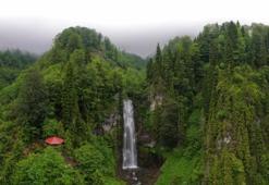 Artvin'dan dünyaya açılan pencere: Maral Şelalesi coşmaya başladı