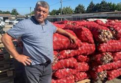 Geçen yıl çürümeye terk edilmişti, bu yıl kapış kapış gidiyor! Tarlada fiyatlar katlandı: Çiftçinin yüzü gülüyor
