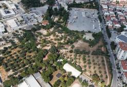 İzmir'de nefes aldıracak proje! Yıllardır atıl duran köşk yaşam merkezine dönüşüyor