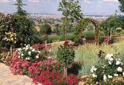 Konya'da herkesin huzur bulduğu nokta: Bin 300 metre yüksekte yer alıyor
