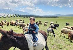 Bitlis'te hareketlilik başladı! Van Gölü kıyısından 2 bin rakıma büyük kaçış...