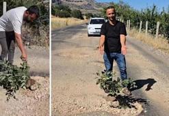 Diyarbakır’da seslerini duyurmak için yol ortasına ağaç diktiler!