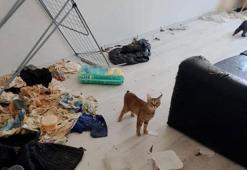 Bolu'da komşuları taşınmak zorunda bırakan koku ihbarında şoke eden manzara