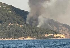 Büyükada'daki Viranbağ Plajı'nda çıkan yangın paniğe neden oldu