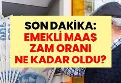 SON DAKİKA: EMEKLİ MAAŞ ZAM ORANI NE KADAR OLDU? Haziran Enflasyon Oranı Açıklandı, Emeklinin Zam Oranı Belli Oldu! İşte En Düşük Emekli Maaşına Gelen Zam Oranı: Örnek Emekli Maaşı Hesaplama
