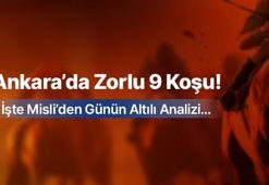 ANKARA’DA ZORLU 9 KOŞU! İŞTE MİSLİ’DEN GÜNÜN ALTILI ANALİZİ…