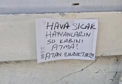 Eskişehir'de ilginç not: Sokak hayvanları için asıldı