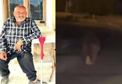 İzmir'de balkonda uyuyan kişiye saldırıp öldüren ayı vuruldu