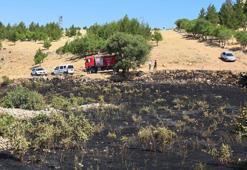 Diyarbakır'da yüksek gerilim hattına çarpan kuş yangın çıkardı