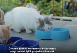 AOSB'den örnek proje: Fabrikaların gıda atıkları can dostlara umut oluyor!