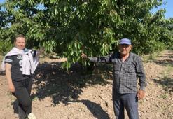 Hasatta sona yaklaşıldı! Yazın en sevilen meyvesi 60 liradan 250 liraya çıkıyor