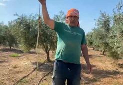 'Yılanı öldürdüm' deyip video çektirdi! 22 bin TL ceza yemekten kaçamadı