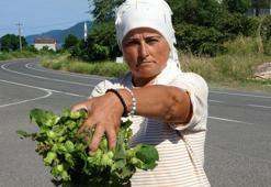 Daha hasat başlamadı ama tezgâhlarda yerini aldı! Kilosu 200 liradan satılıyor