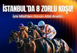 İSTANBUL’DA 8 ZORLU KOŞU! İŞTE MİSLİ’DEN GÜNÜN ALTILI ANALİZİ…