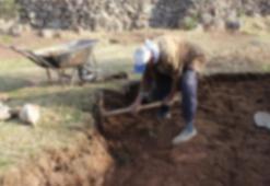 Elazığ'ın köyünde tarlada çalışırken buldu! Türkiye'de daha önce görülmedi, yüzlercesi fışkırdı