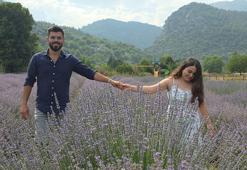 Adana'nın lavanta tarlaları fotoğraf çekim platolarına dönüştü!