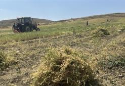 Yozgat'ta başlayan hasat yüz güldürdü: 225 bin dekar alanda mesai başladı