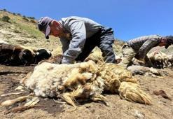 Erzincan'da mesai başladı: 1 yıl beklenen 3 dakikada tükeniyor