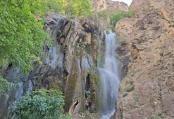 Hakkari'nin yeni gözdesi: Ava Ore görenleri mest ediyor