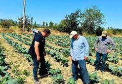 Afyonkarahisar'da ekipler tarlalarda zararlı avına çıktı