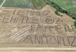 Lüleburgaz'da tarihi destana anlamlı mesaj: Tarlaya '15 Temmuz şehitlerimizi rahmetle anıyoruz' yazdı
