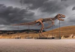 Dinozor iskeleti 50.1 milyon dolarla rekor fiyata satıldı