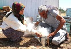 Hobi olarak başladı, servete dönüştürdü! Şimdi siparişlere yetişemiyor