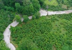 Ordu'da kırsalın çilesi bitiyor: Hanyanı Mahallesi beton yol çalışmalar başladı!