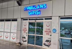 Eşek arısının sokması sonucu yoğun bakıma kaldırıldı