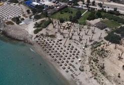 Çeşme'de ezber bozan plaj! Önü plaj, arkası tarla: Hazırladığı tezi iş yerine uyguladı, yiyeceğini tarlada, elektriğini güneşte üretiyor!