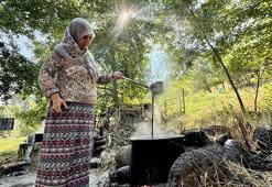 At sırtında taşınıyor, güneşte 7 gün bekletiliyor! Bingöl’ün tescilli lezzeti Sivan Dut Pekmezi sofralara ulaşmak için yola çıktı!