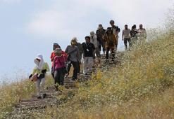 Van’ın 2 bin 700 yıllık Urartu mirası dünya gündeminde: Japonlar akın ediyor! Dünyanın en iyi korunmuş Haldi Tapınağı burada!