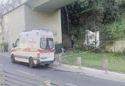 Yol kenarında cesedi bulundu, 46 ayrı suç kaydı çıktı!