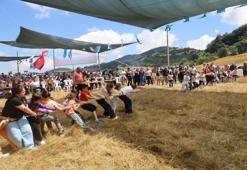 Samsun'da baba ocağında dev buluşma: Gurbet ile sıla bir araya geldi
