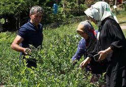 Şehir hayatını geride bıraktı! Dedesinden kalan tarlada üretime başladı, şimdi siparişlere yetişemiyor