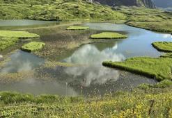 Bulutların üzerindeki cennet: Artvin'in yüzen adalı Arsiyan Yaylası ziyaretçi akınına uğruyor!