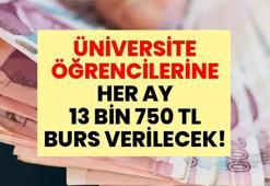 YKS sonuçları açıklandı bakanlık burs müjdesini verdi | Üniversite öğrencilerine her ay 13 bin 750 TL burs verilecek! İşte başvuru şartları ve başvuru tarihi
