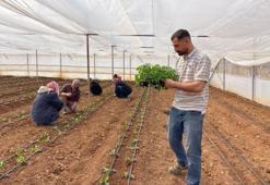 Su geldi, göç bitti! Artık kendi işlerinin patronu oldular